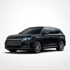 BYD (Build Your Dreams) TANG