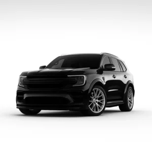 Ford Everest (3rd GEN.) Συσκευή βαθμονόμησης ταχύμετρου